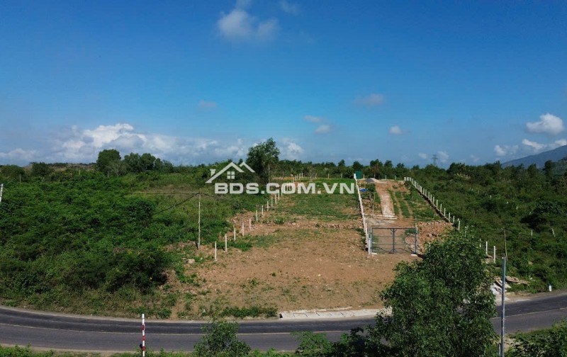 BÁN ĐẤT VƯỜN, DIÊN LÂM, DIÊN KHÁNH, MT TỈNH LỘ 8, 1232M2, GIÁ DƯỚI 2 TỶ