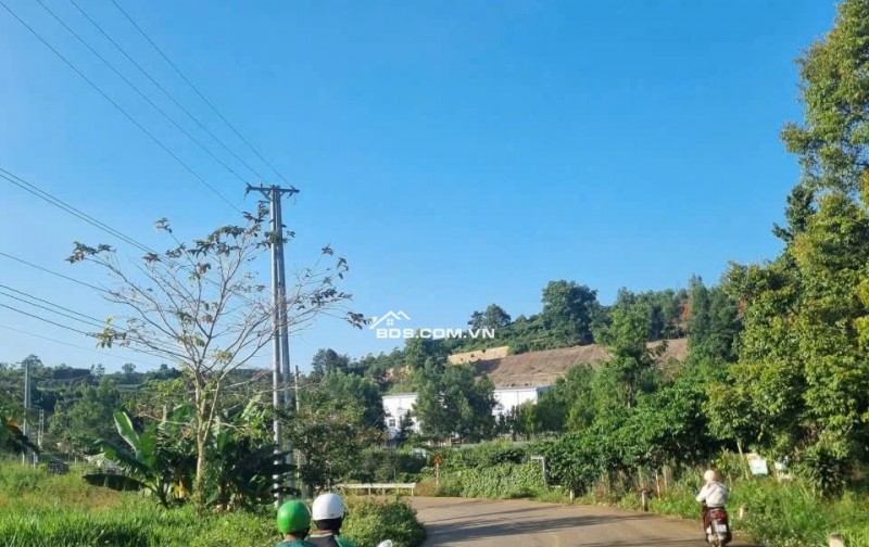 Bán 166,6m2 đất Tân Lạc Lâm Đồng, sẵn SHR, chỉ 450tr buông sổ. Lh:0983762203