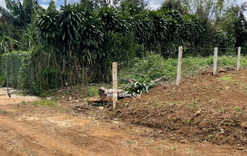 Bán 166,6m2 đất Tân Lạc Lâm Đồng, sẵn SHR, chỉ 450tr buông sổ. Lh:0983762203