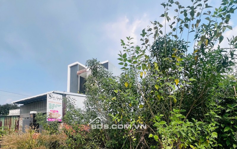 CHỦ NGỘP, BÁN NHANH BÁN GẤP, ĐẤT CỦ CHI, TPHCM. GIÁ HỜI.