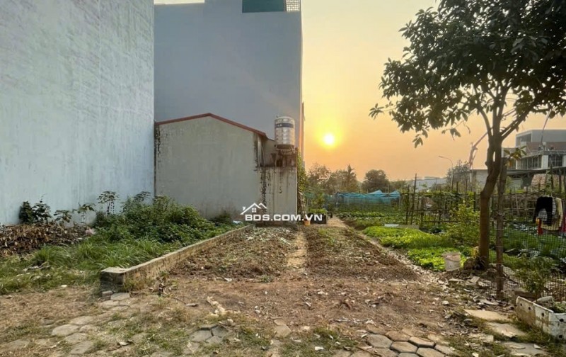 Bán đất dịch vụ Liền Kề Yên Nghĩa- 50m2 – mặt tiền 4.9m – 10 tỷ