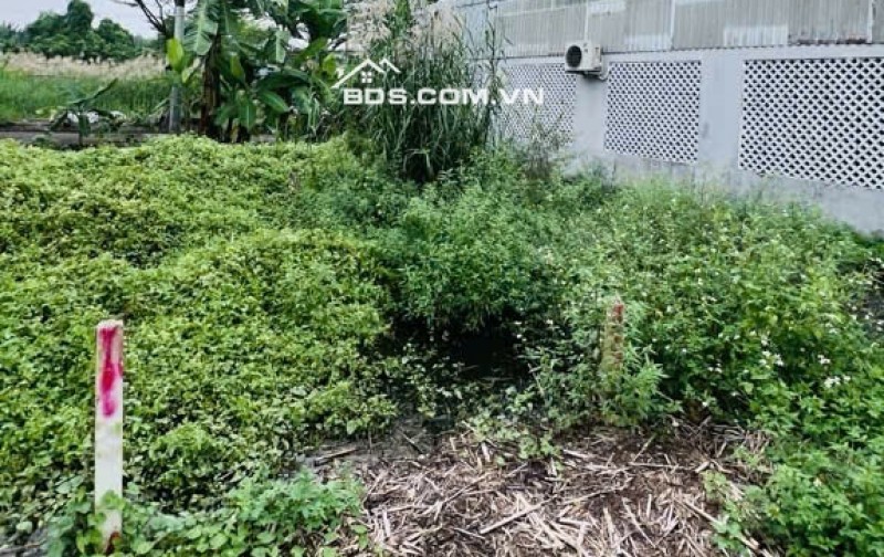 Bán đất hẻm 512 Nguyễn Văn Tạo, DT 80m2, Giá 3.2 tỷ