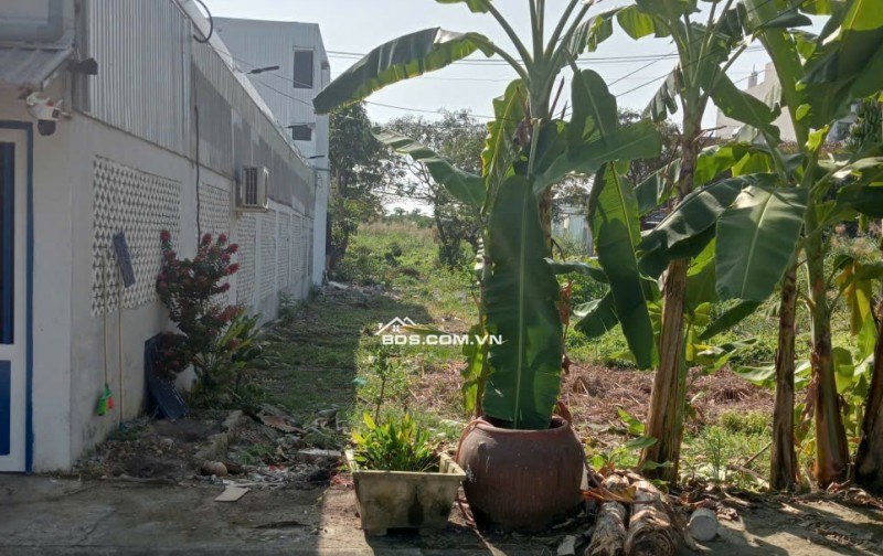 Bán đất hẻm 512 Nguyễn Văn Tạo, DT 80m2, Giá 3.2 tỷ