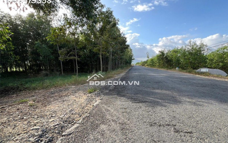 SIÊU PHẨM ĐẤT 3 MẶT TIỀN – “KẸP VÀNG” HIẾM CÓ TẠI NINH XUÂN