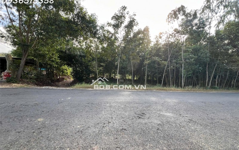 SIÊU PHẨM ĐẤT 3 MẶT TIỀN – “KẸP VÀNG” HIẾM CÓ TẠI NINH XUÂN