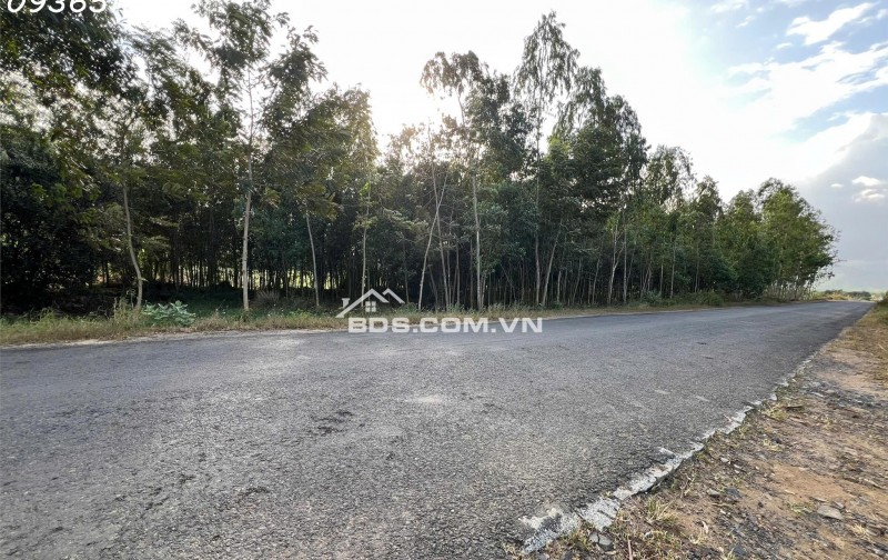 SIÊU PHẨM ĐẤT 3 MẶT TIỀN – “KẸP VÀNG” HIẾM CÓ TẠI NINH XUÂN