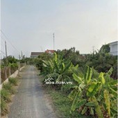 Chính Chủ Bán Gấp 1,554m2 Đất Mặt Tiền QL1A, xã Nhị Thành, huyện Thủ Thừa, Long An