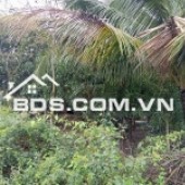 Bán đất thôn Xuân Thọ đường đất 3m,107m² đất ở, ngang 5m, chỉ 410 triệumức giá hiếm khu Xuân Sơn