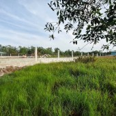 CHÍNH CHỦ BÁN GẤP GIÁ RẺ ĐẤT MẶT TIỀN ĐƯỜNG D1, QUẬN 9 – ĐỐI DIỆN KHU DU LỊCH SONG LONG GIÁ 15 TRIỆU/M2 , 2500m2 số điện thoại 0923 945 502