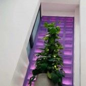 [P BÀN CỜ] BÁN NHÀ MẶT TIỀN KD 5 TẦNG– NGAY CHỢ VƯỜN CHUỐI – CX ĐÔ THÀNH Q.3 – NHỈNH 11 TỶ