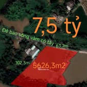 Bán lô đất thổ phân lô mặt tiền đê bao giá 7,5 tỷ