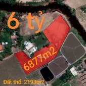Bán gấp lô đất thổ lúa gần Quốc Lộ 50B hạ giá 6 tỷ
