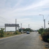 ĐẤT FULL THỔ CƯ 6X50 GẦN QUỐC LỘ 1 XÃ TÂN BÌNH TÂN TRỤ ĐƯỜNG TỈNH LỘ 12M NHIK 2 TỶ