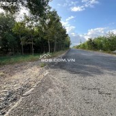 SIÊU PHẨM ĐẤT 3 MẶT TIỀN – “KẸP VÀNG” HIẾM CÓ TẠI NINH XUÂN