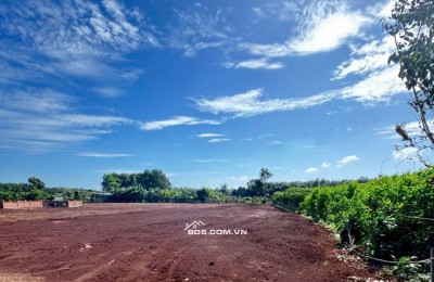 CẦN BÁN LÔ ĐẤT LONG PHƯỚC BRVT – nay thuộc P. TAM LONG, TP.HCM