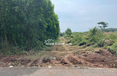 BÁN 7691.5 M² ĐẤT XÃ LONG TÂN, ĐẤT ĐỎ GIÁ 3 TỶ / SÀO. LH:0938677702.