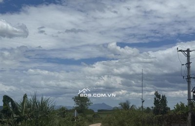 Đất ở giá mềm Xuân Thọ, Xuân Sơn 117,9m², ngang 5m, đường đất 3m, chỉ 470 triệu