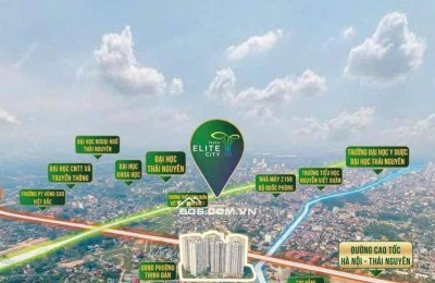 Bán quỹ căn ngoại giao giá tốt nhất tòa A1 Tecco Elite, Vốn ban đầu chỉ 500tr, HTLS 0%/18Th