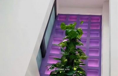 [P BÀN CỜ] BÁN NHÀ MẶT TIỀN KD 5 TẦNG– NGAY CHỢ VƯỜN CHUỐI – CX ĐÔ THÀNH Q.3 – NHỈNH 11 TỶ