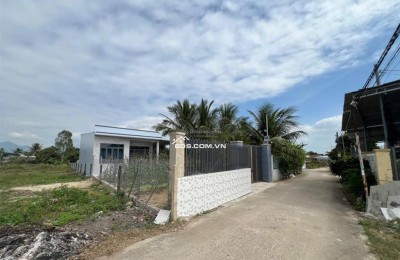 Bán đất đường bê tông 4m thôn Xuân Thọ,Xuân Sơn | 118,6m² đất ở, ngang 4,9m, giá 600 triệu