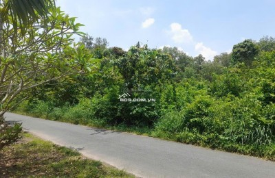 Đất Tăng Thị Hội xã An Nhơn Tây huyện Củ Chi, tiềm năng tăng giá mạnh