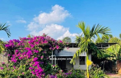 Bán Đất Nhà Vườn Có Sẵn Nhà nhỏ, rộng 2540m2, Giá tổng 600 triệu, Gần Ủy Ban Xã Tân Hệp