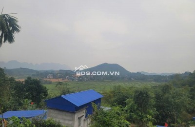 "MỎ VÀNG" KIM BÔI – ĐÓN ĐẦU SIÊU DỰ ÁN SUN GROUP – CHỈ 1 LÔ DUY NHẤT!