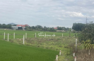 BÁN ĐẤT VƯỜN SUỐI TIÊN, DIÊN KHÁNH, 530M2, GIÁ DƯỚI 500 TRIỆU, GIÁ RẺ