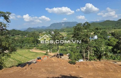  CƠ HỘI HIẾM CÓ - SỞ HỮU 2800m² FULL THỔ CƯ - CHỈ 1,7TR/M2