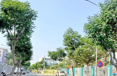 Bán 3 Lô đất liền kề Mặt Tiền Đường Số Huỳnh Tấn Phát. Quận 7