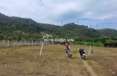 BÁN ĐẤT VƯỜN BẮC NHA TRANG, 1500M2, GIÁ DƯỚI TỶ, CẦN BÁN GẤP