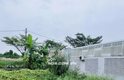 Bán đất hẻm 512 Nguyễn Văn Tạo, DT 80m2, Giá 3.2 tỷ