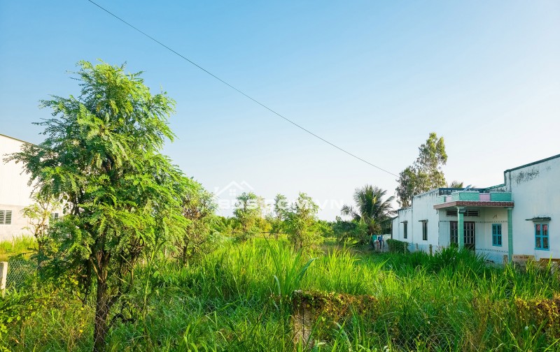 Bán nền đất Tân Đông, Gò Công Đông, ô tô chạy tới đất, 300m², 720 triệu