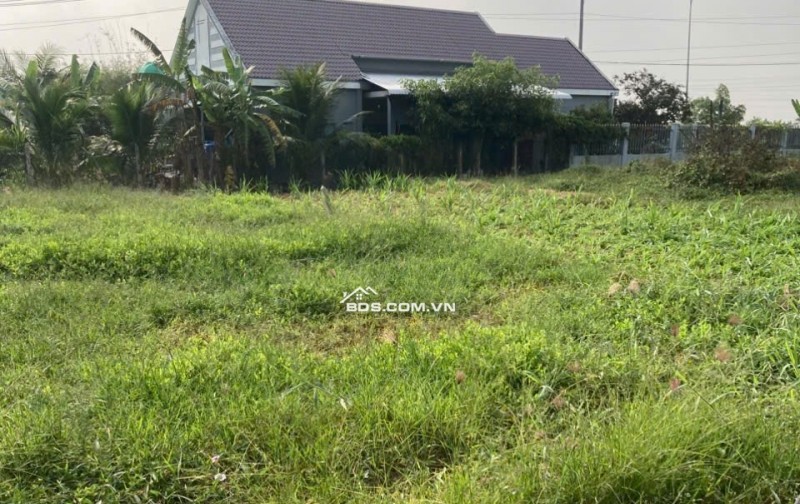 Bán đất mặt tiền đường DH01 Tân Trung, Gò Công, 233.4m² giá 1.2 tỷ