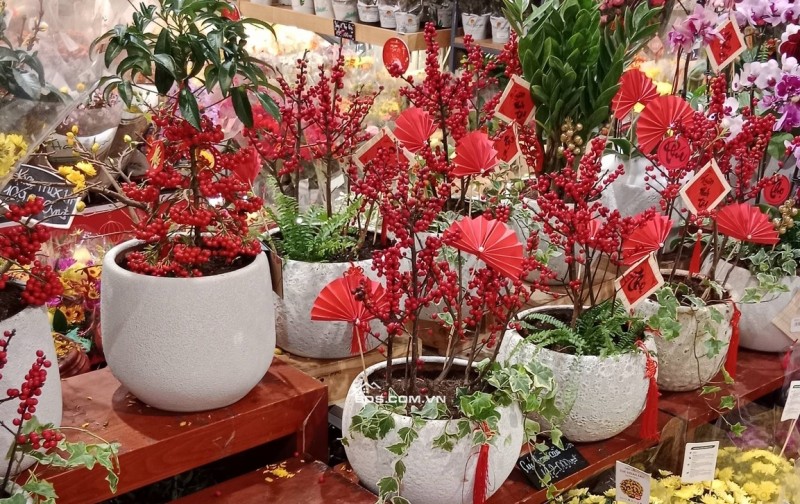 Nhà Đẹp Ở Luôn Hoàng Quốc Việt, Cầu Giấy 65m, giá 3.98 tỷ.