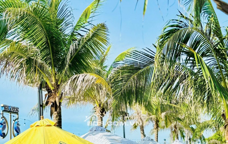 CĂN HỘ NGAY SÁT BIỂN CHỈ VÀI BƯỚC CHÂN- THANH TOÁN CHỈ 10% KÝ HĐMB VÀ ĐƯỢC KÉO DÃN 46TH MỖI THÁNG CHỈ 5TR SIÊU NHẸ NHÀNG