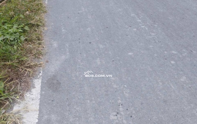 -	Bán đất Phước Mỹ Trung, Vĩnh Long