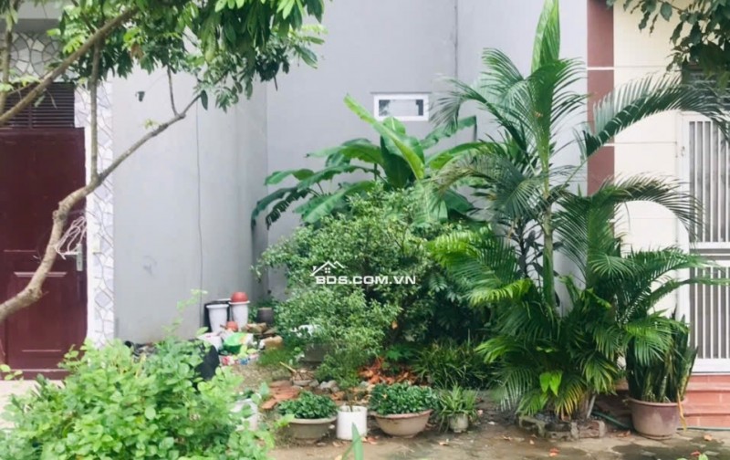 Chính chủ bán Đất dịch vụ Dương nội- khu LK31, Hướng Đông nam, diện tích 50m2 đường rộng 10,5m, ngay cạnh đường Lê Trọng Tấn, nhà máy SYM, xây dựng 7 tầng . Giá 10x liên hệ 0964356788