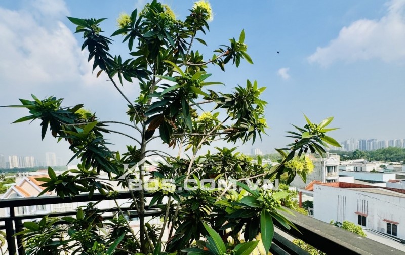 BÁN NHÀ ĐẸP 4 TẦNG MỚI 100% – PHẠM HỮU LẦU – THANG MÁY – XE HƠI NGỦ TRONG NHÀ – CẠNH PMH