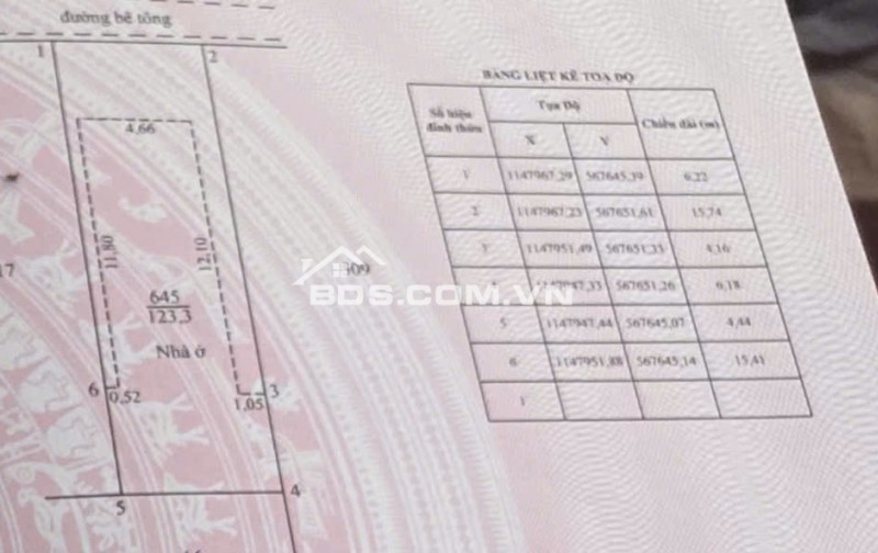 Nhà VIP Chuẩn 3 Sao, Đứng tại nhà Ngắm Pháo Hoa và Đường Hoa Quảng Trường