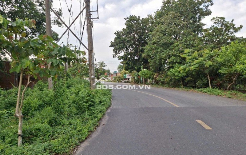 Bán đất mặt tiền đường Phú Thuận, xã An Nhơn Tây, TP.HCM ( Xã Phú Mỹ Hưng, Huyện Củ Chi)