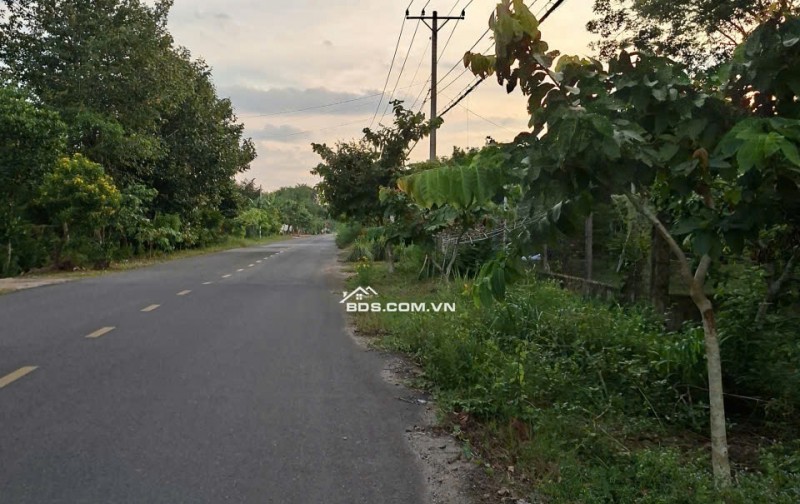 Bán đất mặt tiền đường Phú Thuận, xã An Nhơn Tây, TP.HCM ( Xã Phú Mỹ Hưng, Huyện Củ Chi)