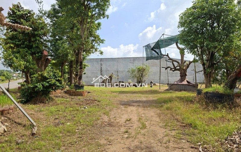 Sang nhượng gấp lô đất mặt đường Phú Thuận, Củ Chi 750m2