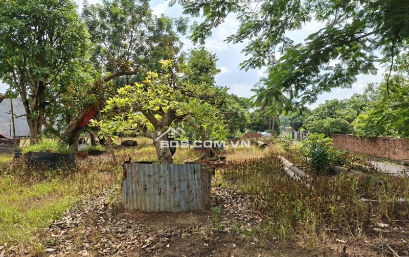 Sang nhượng gấp lô đất mặt đường Phú Thuận, Củ Chi 750m2