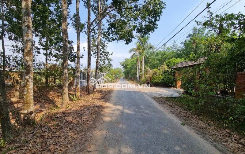 1)	Bán đất  HXH đường Phú Thuận, xã An Nhơn Tây, TP.HCM ( Xã Phú Mỹ Hưng, Huyện Củ Chi)