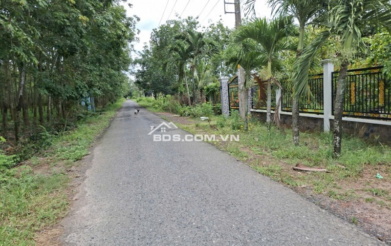 Cần sang nhượng gấp đất hẻm ô tô tải quay đầu đường Phú Thuận, Xã An Ninh Tây -TP.HCM