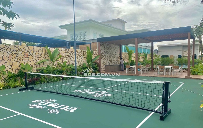 Cao Tốc Thông Xe 2026 – Giá Đất Sẽ Bùng Nổ! AVANA Tropic Villa