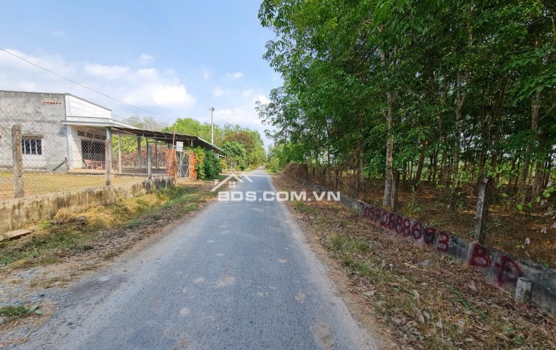 Cần sang tay gấp gấp lô đất tại mặt tiền đường Phạm Thị Quới, xã Phú Mỹ Hưng; Củ Chi, thành phố Hồ Chí Minh nay là xã An Nhơn Tây