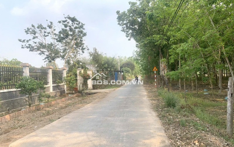 Cần sang tay gấp gấp lô đất tại mặt tiền đường Phạm Thị Quới, xã Phú Mỹ Hưng; Củ Chi, thành phố Hồ Chí Minh nay là xã An Nhơn Tây