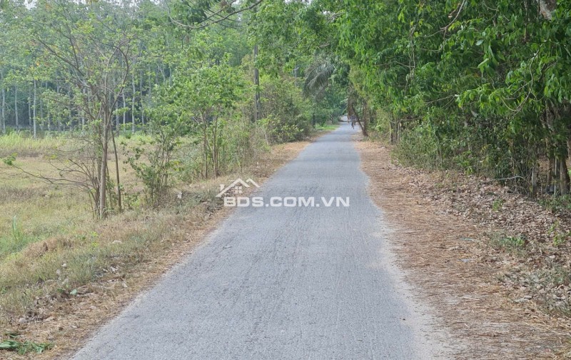 Cần sang tay gấp gấp lô đất tại mặt tiền đường Phạm Thị Quới, xã Phú Mỹ Hưng; Củ Chi, thành phố Hồ Chí Minh nay là xã An Nhơn Tây